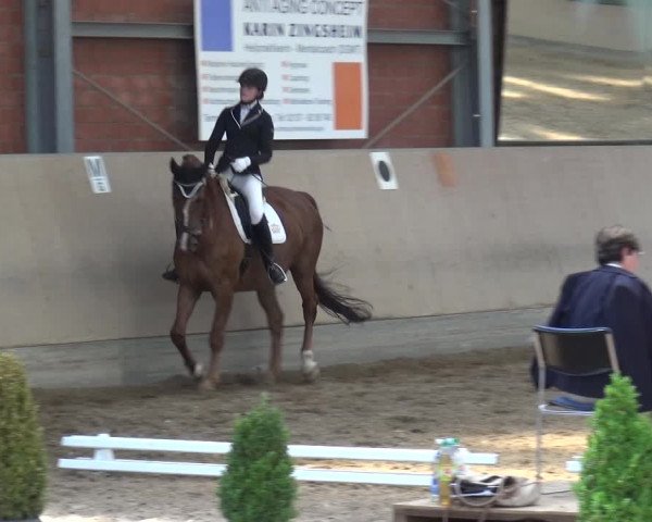 Reitturnier Neuss-Allerheiligen 2017