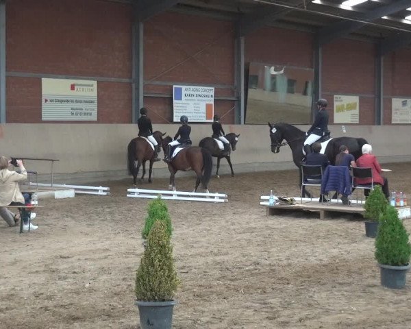 Reitturnier Neuss-Allerheiligen 2017