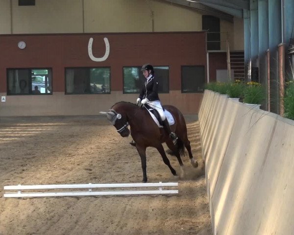 Reitturnier Neuss-Allerheiligen 2017