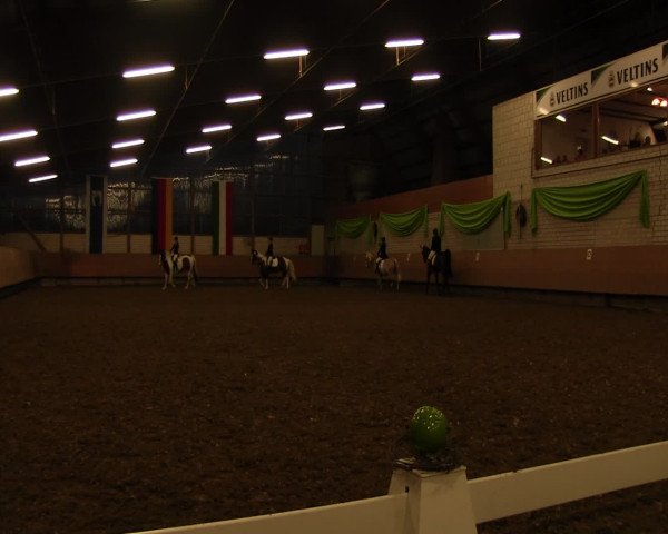 Reitturnier Hellefeld 2017
