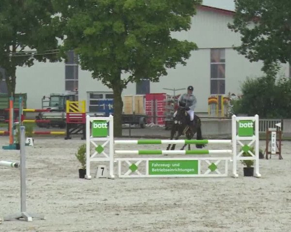 Reitturnier Rot am See- Musdorf 2017
