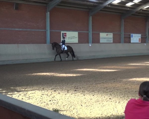 Reitturnier Neuss-Allerheiligen 2017