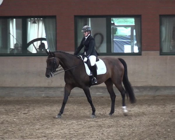 Reitturnier Neuss-Allerheiligen 2017