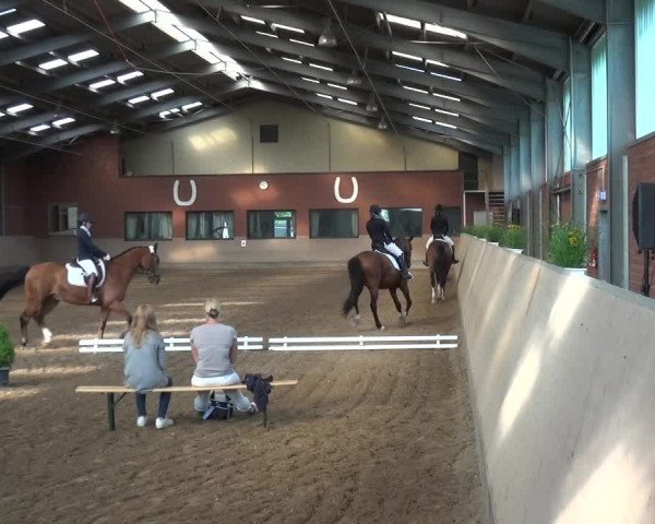 Reitturnier Neuss-Allerheiligen 2017