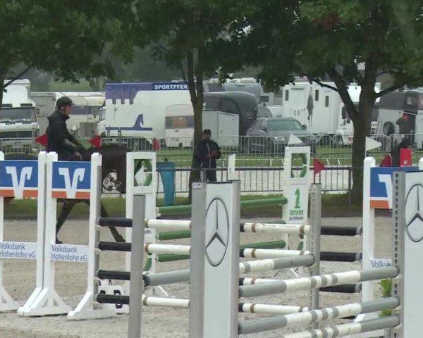 Reitturnier Rot am See- Musdorf 2017
