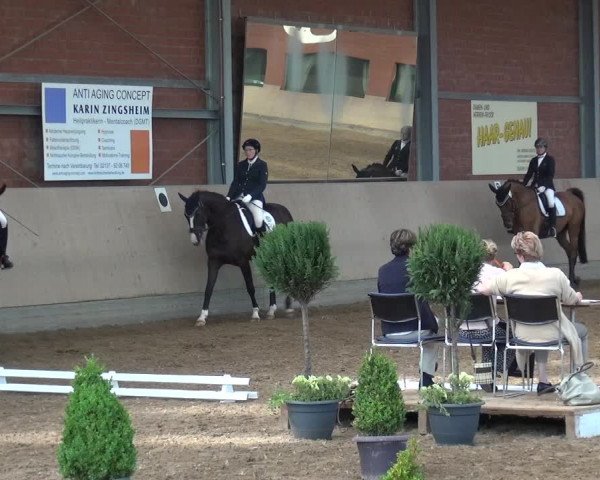 Reitturnier Neuss-Allerheiligen 2017