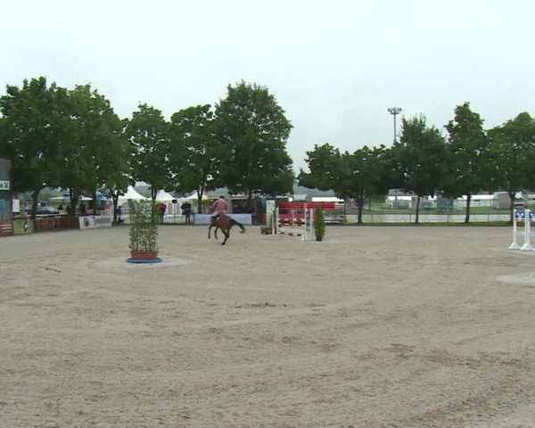 Reitturnier Rot am See- Musdorf 2017