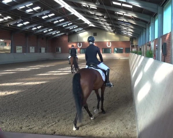 Reitturnier Neuss-Allerheiligen 2017