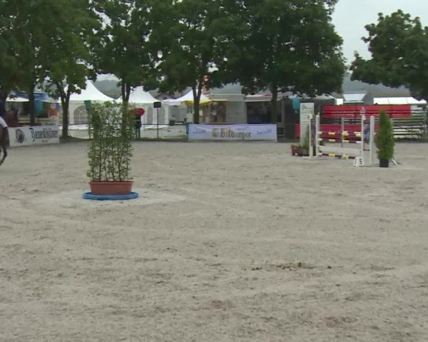 Reitturnier Rot am See- Musdorf 2017