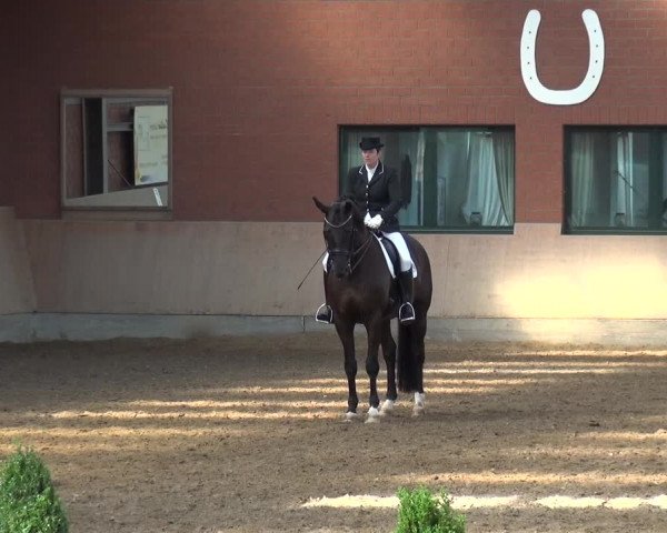Reitturnier Neuss-Allerheiligen 2017