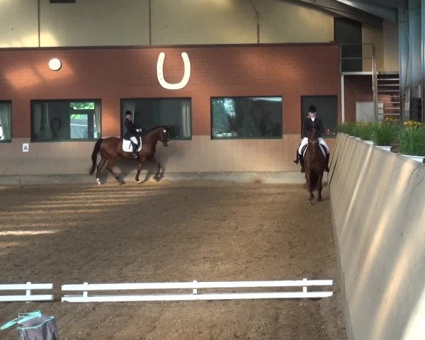 Reitturnier Neuss-Allerheiligen 2017