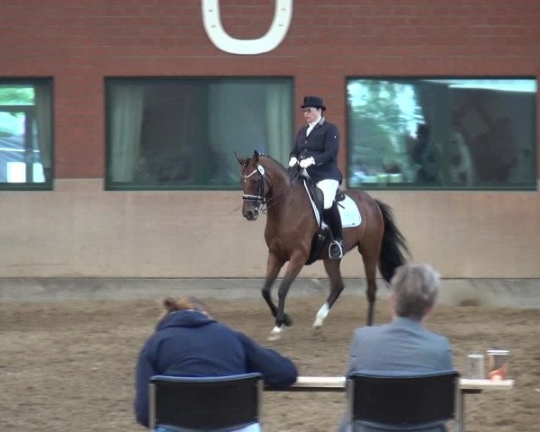 Reitturnier Neuss-Allerheiligen 2017