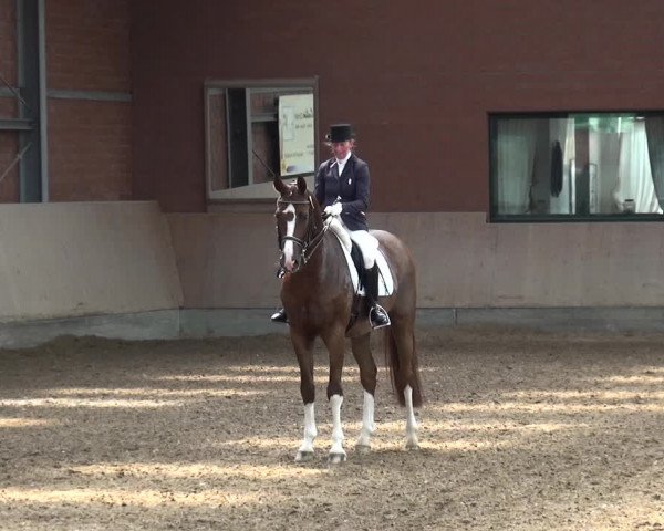 Reitturnier Neuss-Allerheiligen 2017