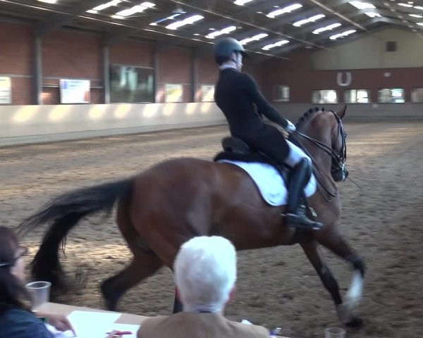 Reitturnier Neuss-Allerheiligen 2017