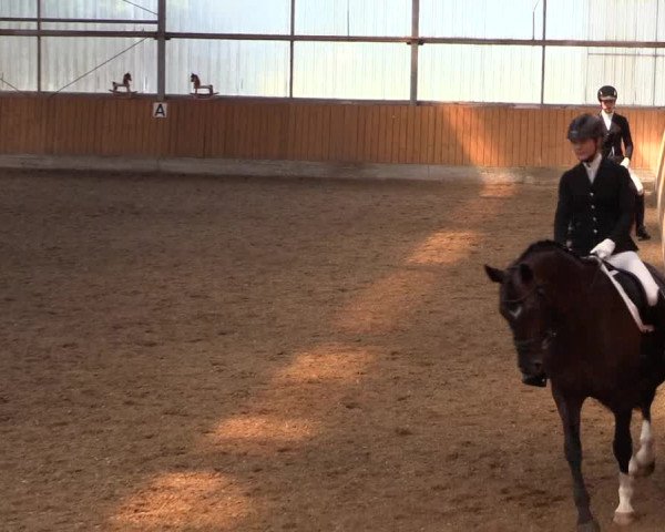 Reitturnier Herbern 2017