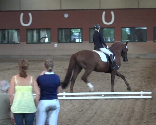 Reitturnier Neuss-Allerheiligen 2017