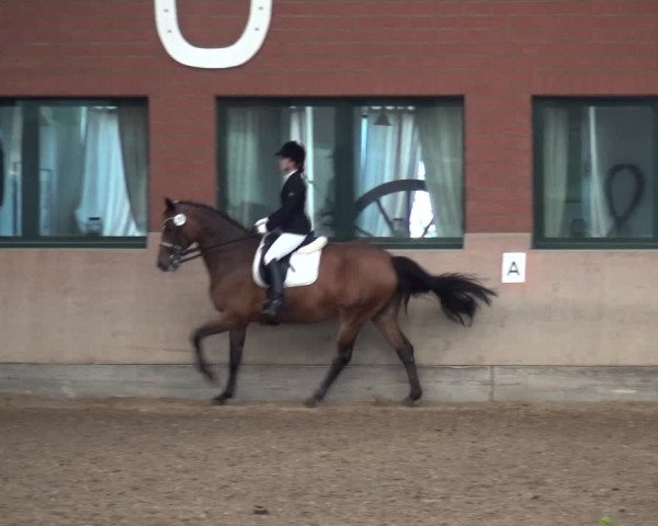 Reitturnier Neuss-Allerheiligen 2017