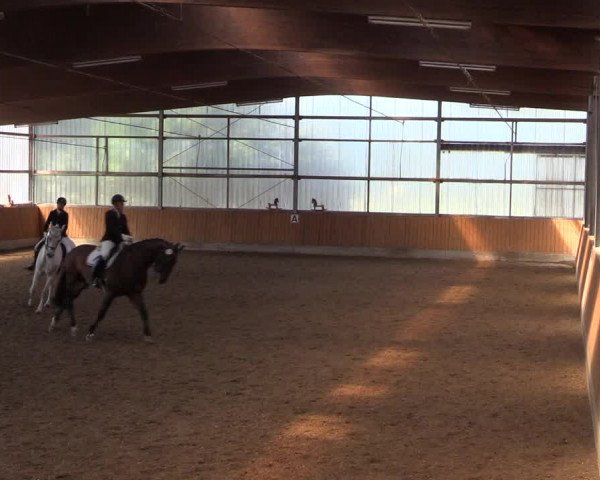 Reitturnier Herbern 2017