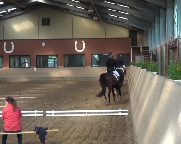 Reitturnier Neuss-Allerheiligen 2017