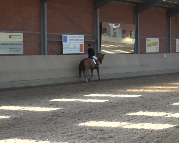 Reitturnier Neuss-Allerheiligen 2017