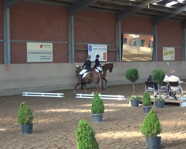 Reitturnier Neuss-Allerheiligen 2017