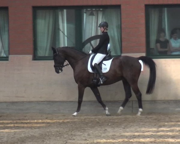 Reitturnier Neuss-Allerheiligen 2017
