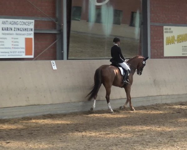 Reitturnier Neuss-Allerheiligen 2017