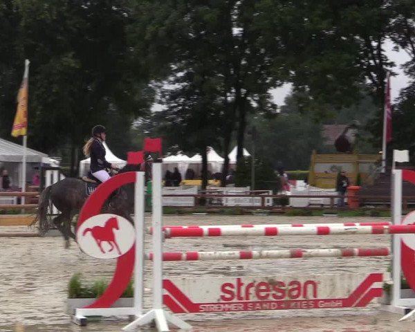 Reitturnier Münster-Handorf 2017