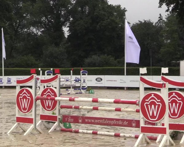 Reitturnier Münster-Handorf 2017