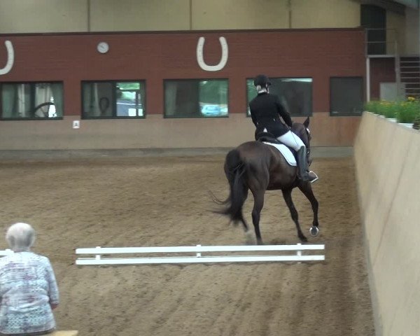 Reitturnier Neuss-Allerheiligen 2017