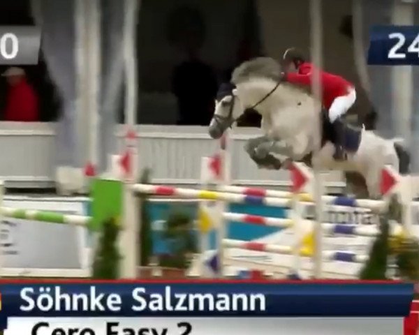 stallion Cero Easy 2 (Holsteiner, 2007, from Cero)