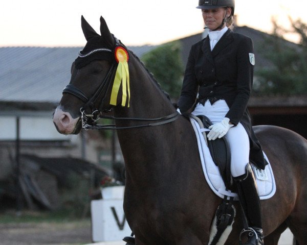 dressage horse Forlan 11 (Rhinelander, 2010, from For Romadour)