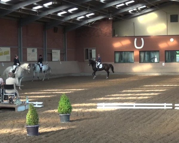 Reitturnier Neuss-Allerheiligen 2017