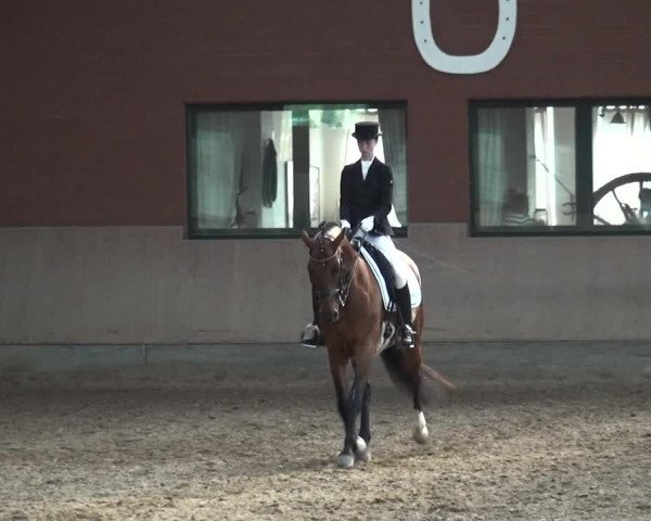 Reitturnier Neuss-Allerheiligen 2017