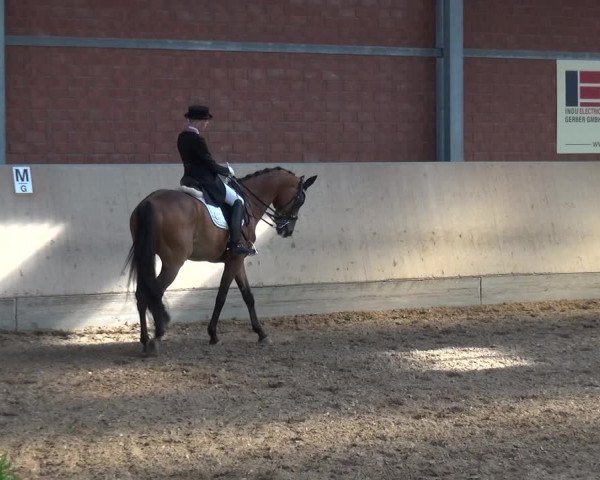 Reitturnier Neuss-Allerheiligen 2017
