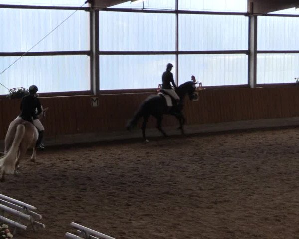 Reitturnier Herbern 2017