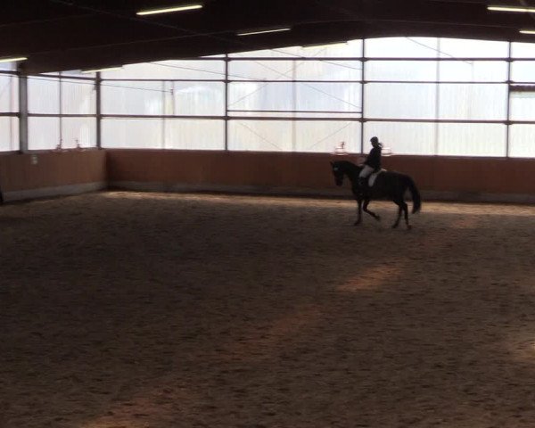 Reitturnier Herbern 2017