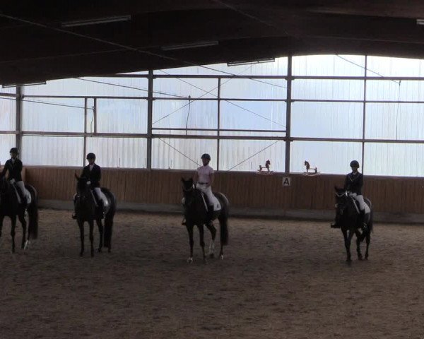 Reitturnier Herbern 2017