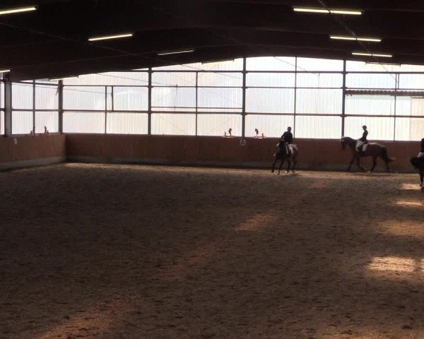Reitturnier Herbern 2017