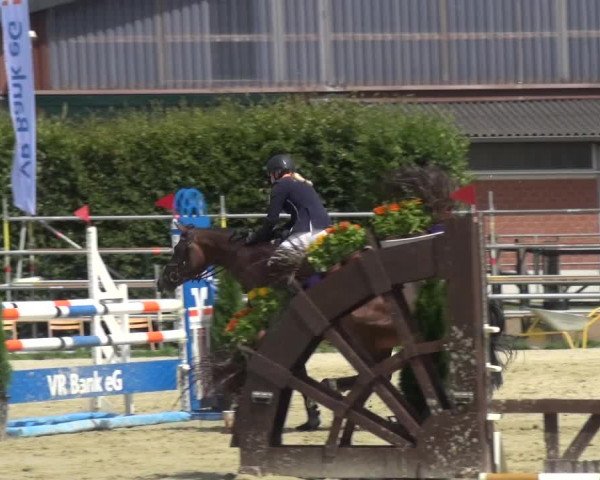Reitturnier Neuss-Allerheiligen 2017