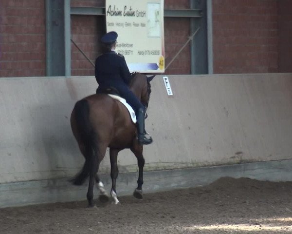 Reitturnier Neuss-Allerheiligen 2017