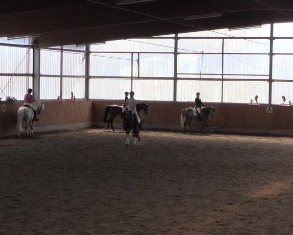 Reitturnier Herbern 2017