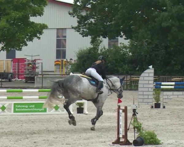 Reitturnier Rot am See- Musdorf 2017