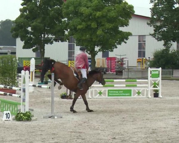 Reitturnier Rot am See- Musdorf 2017