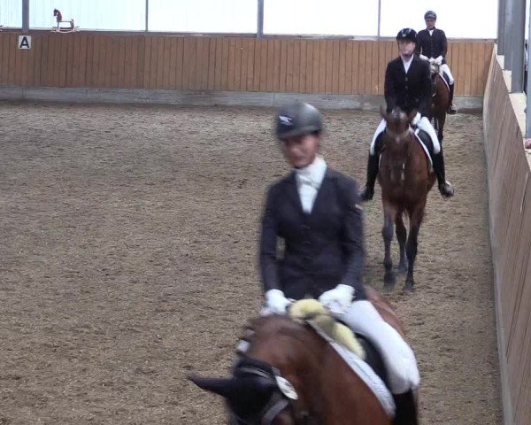 Reitturnier Herbern 2017