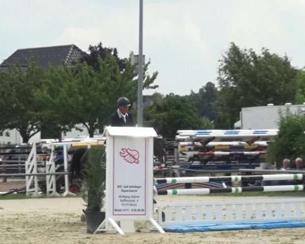 Reitturnier Neuss-Allerheiligen 2017