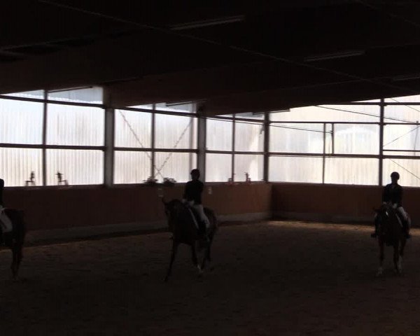 Reitturnier Herbern 2017