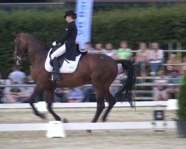 Reitturnier Neuss-Allerheiligen 2017