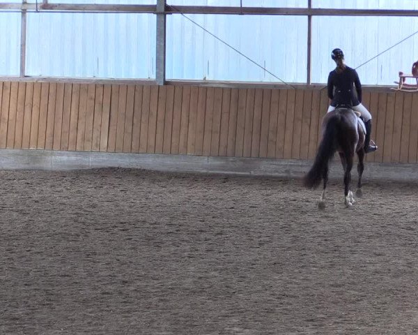 Reitturnier Herbern 2017