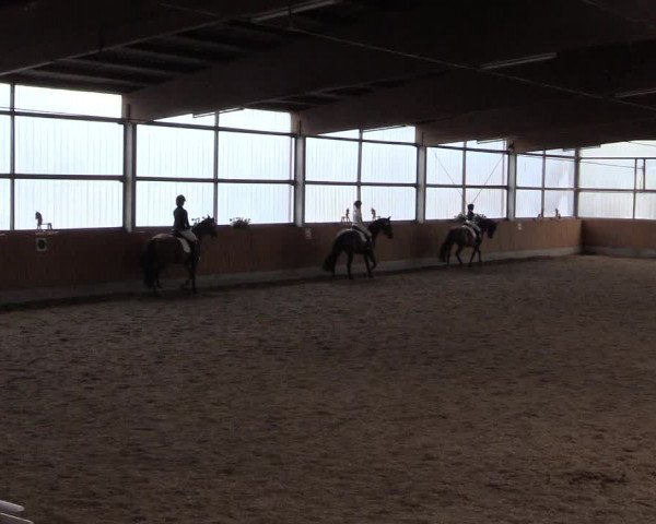 Reitturnier Herbern 2017